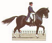riding2.jpg